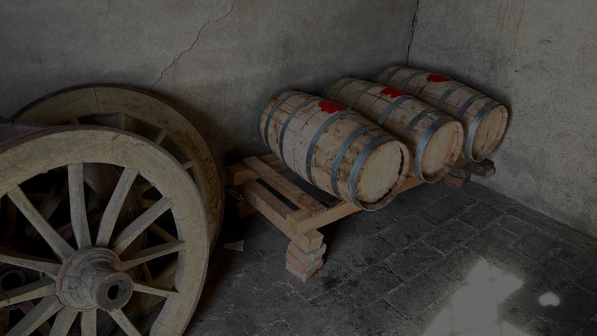 Tutti i vini